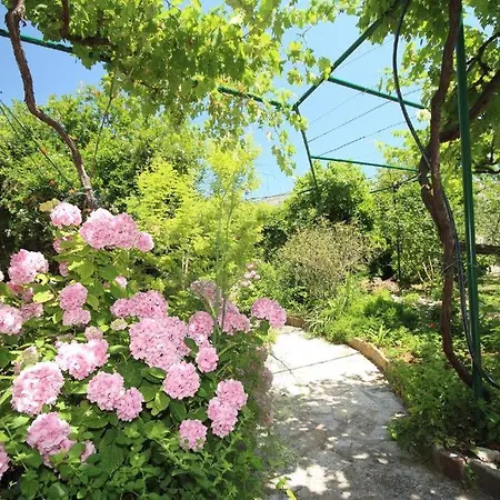 East West Dubrovnik